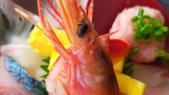 海鮮丼のえび写真