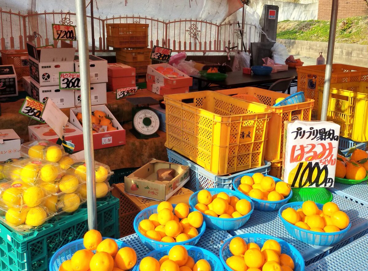 097 正直高い!だけど美味い!甘〜いみかん(^O^) 野菜ソムリエ 097 正直高い!だけど美味い!甘〜いみかん(^O^) 野菜ソムリエ