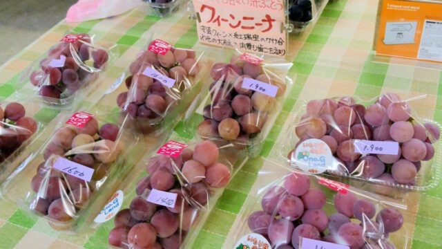 小野グレープランドクィーンニーナ