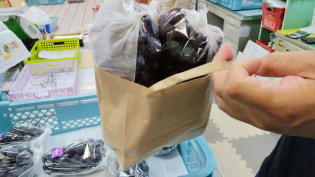 小野グレープランドぶどう狩りの袋
