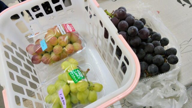 小野グレープランド購入品