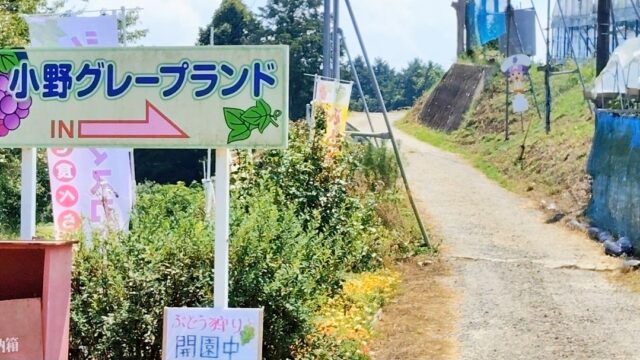 小野グレープランドの看板