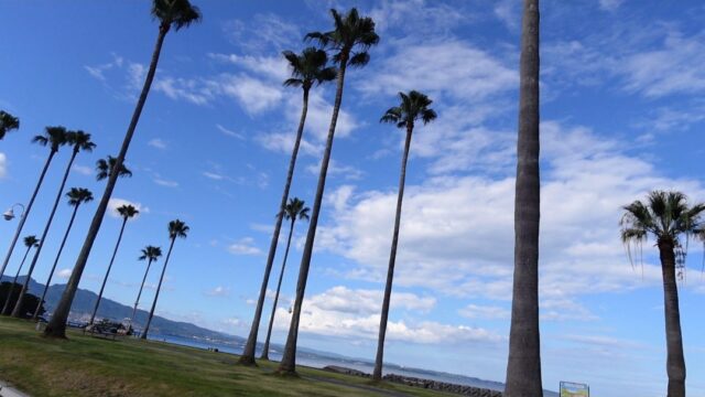 SHONIN PARK