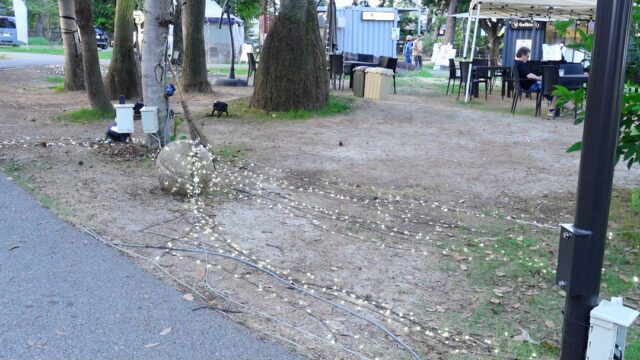 SHONIN PARK
